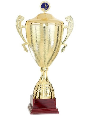 3er Coupe série trophées 1/2/3 place trophy avec gravure top prix & Design 