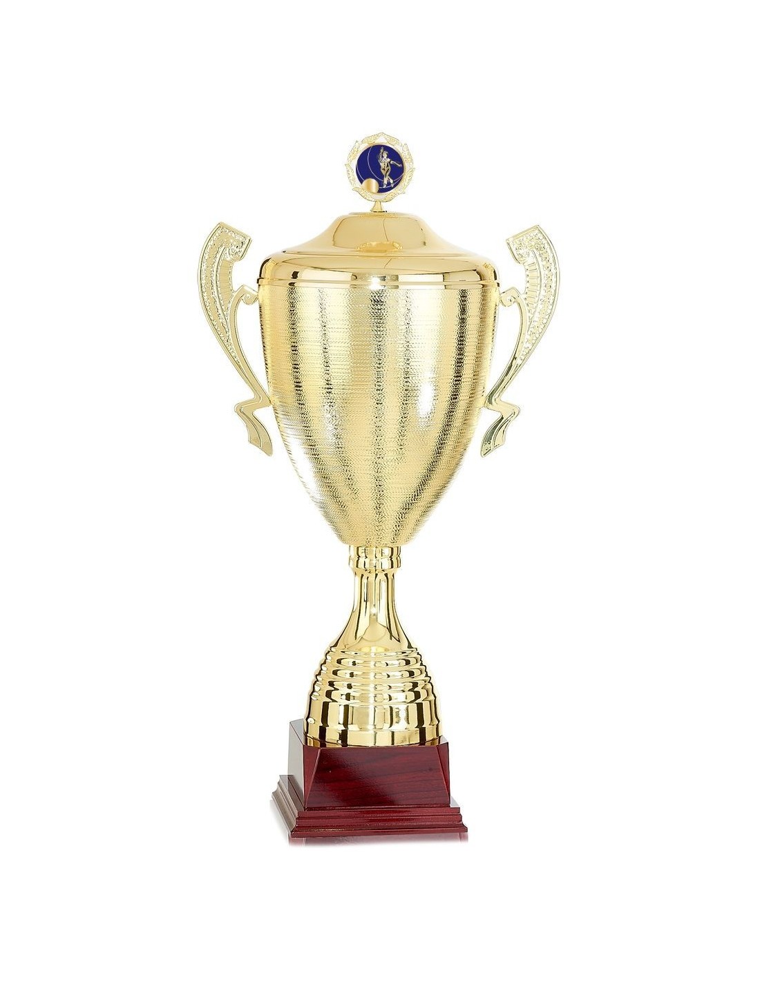 Coupe trophée personnalisable à votre sport - Achat/Vente