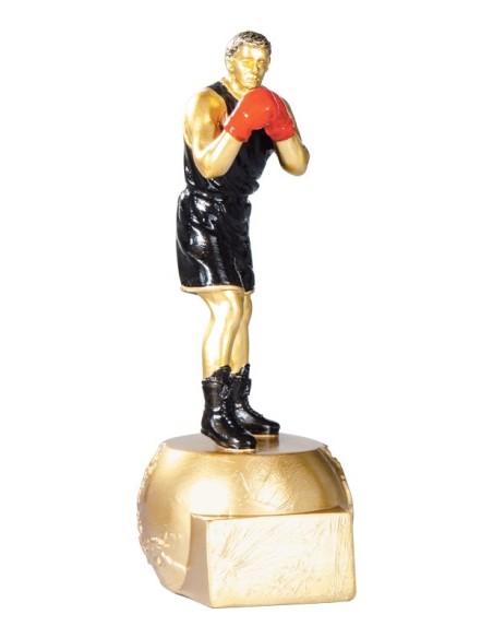 Trophée boxe | Récompense de Qualité | FSP-71504