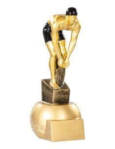 Trophée natation masculin | Récompense de Qualité | FSP-71520