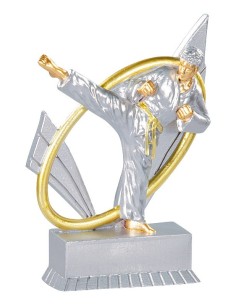 Trophée karate | Récompense de Qualité | FSP-31419