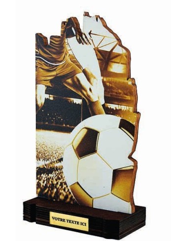 Trophée bois football hauteur 22 cm - Epaisseur 10mm