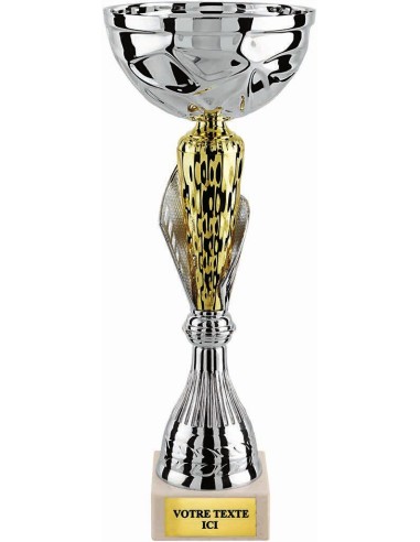 Coupe classique argent/or hauteur 29 cm diamètre 100 mm