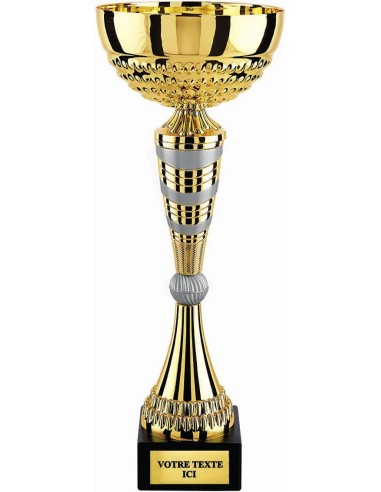 Coupe or/argent mat | Récompense de Qualité | CP5236D