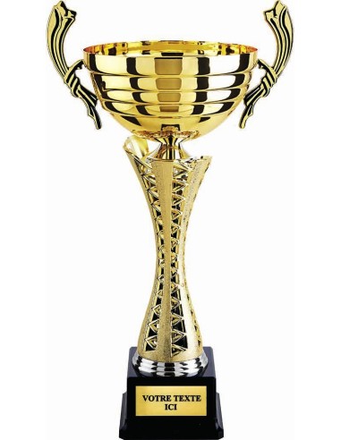 Coupe classique or/argent hauteur 33 cm diamètre 120 mm