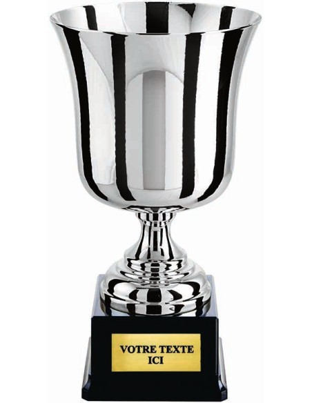 Coupe 100% metal argent | Récompense de Qualité | CP5270A