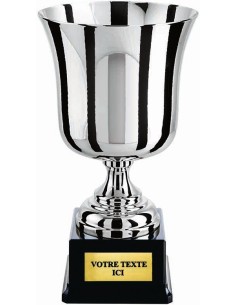 Coupe 100% metal argent | Récompense de Qualité | CP5270C