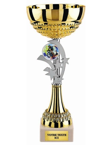 Coupe économique or/argent hauteur 28 cm diamètre 120 mm