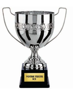 Coupe 100% metal argent | Récompense de Qualité | CP5272A