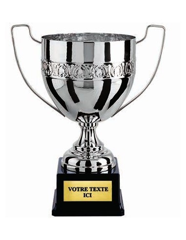 Coupe 100% metal argent | Récompense de Qualité | CP5272C