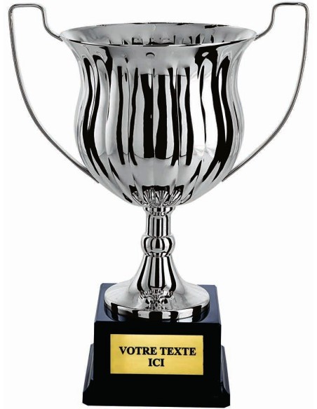 Coupe 100% metal argent | Récompense de Qualité | CP5289A