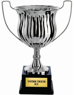 Coupe 100% metal argent | Récompense de Qualité | CP5289C