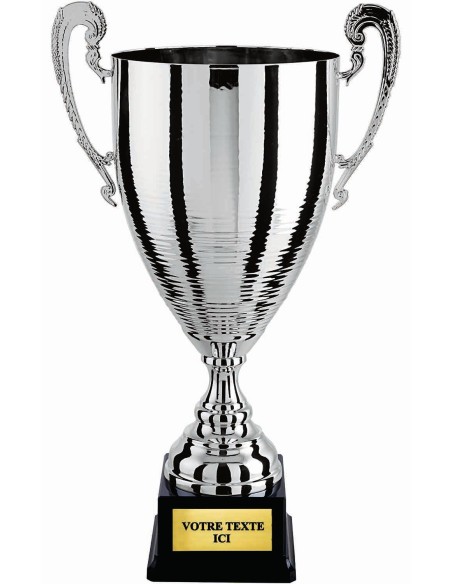 Coupe 100% metal argent | Récompense de Qualité | CP5290A