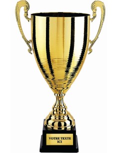 Coupe 100% metal or | Récompense de Qualité | CP5291B