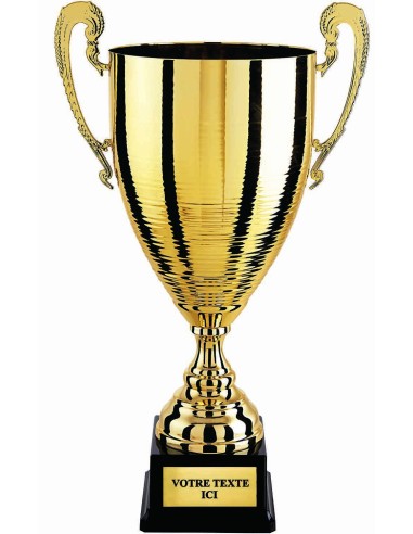 Coupe prestige 100% métal or hauteur 48 cm diamètre 180 mm