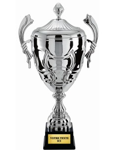 Coupe 100% metal argent | Récompense de Qualité | CP5292CV