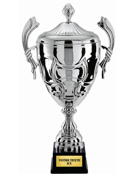Coupe 100% metal argent | Récompense de Qualité | CP5292CV