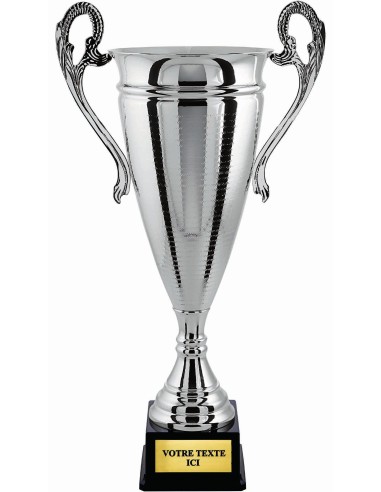 Coupe 100% metal argent | Récompense de Qualité | CP5297A