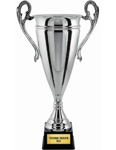 Coupe 100% metal argent | Récompense de Qualité | CP5297B