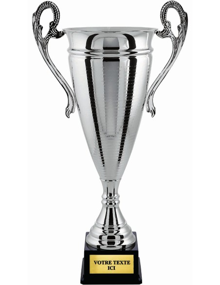 Coupe 100% metal argent | Récompense de Qualité | CP5297B