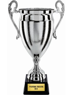 Coupe 100% metal argent | Récompense de Qualité | CP5298A