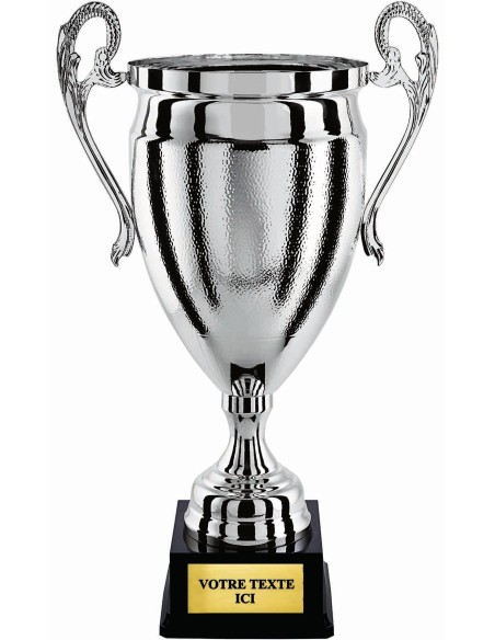 Coupe 100% metal argent | Récompense de Qualité | CP5298B