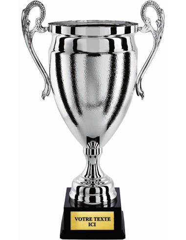 Coupe 100% metal argent | Récompense de Qualité | CP5298C