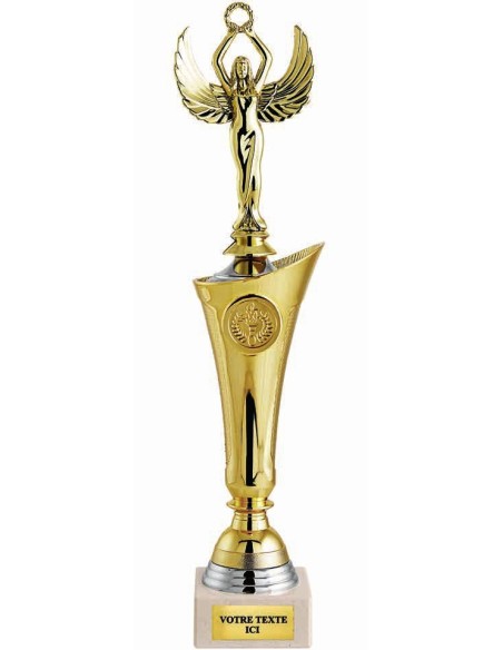 Trophée avec sujet au choix | Récompense de Qualité | TP5079A