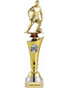 Trophée avec sujet au choix | Récompense de Qualité | TP5079C