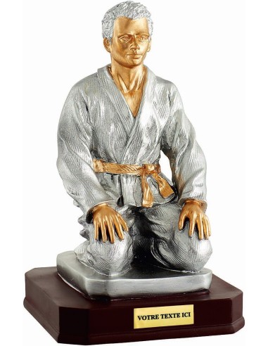 Trophée résine discipline judo hauteur 28 cm 