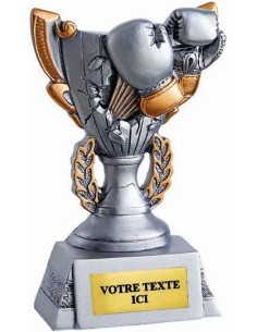Trophée sports de combat | Récompense de Qualité | RS5026