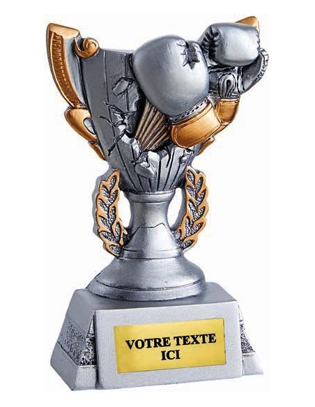 Trophée sports de combat | Récompense de Qualité | RS5026